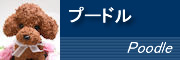 �v�[�h���E�g�C�v�[�h��