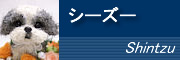 �V�[�Y�[