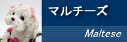 �}���`�[�Y
