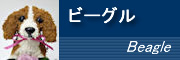 �r�[�O��