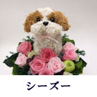�V�[�Y�[�g�s�A���[�u�� �v���U�[�u�h�t�����[�A�����W