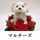 �}���`�[�Y�g�s�A���[�u�� �v���U�[�u�h�t�����[�A�����W