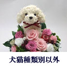 ���L��ޕʈȊO�̓����g�s�A���[�v���U�[�u�h�t�����[�A�����W