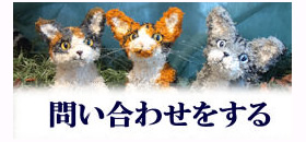 問い合わせる・相談する