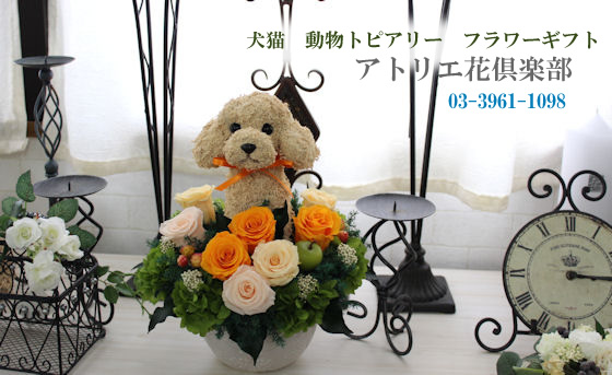 犬猫動物トピアリーフラワーギフトアトリエ花倶楽部