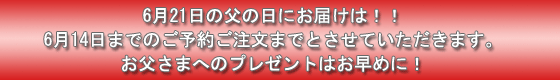 ���̓��M�t�g���W2007�E���̓��̃v���[���g�E���̓��Ƀy�b�g�̃g�s�A���[�E�p�p���������Ă��錢�̃g�s�A���[