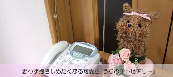 �y�b�g�ɂ�������ȃg�s�A���[