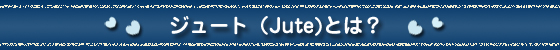 �W���[�g�Ƃ́E�E�E