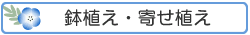 ���A���E�񂹐A��