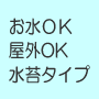 ���ۃg�s�A���[�E���A�������ԃA�����W