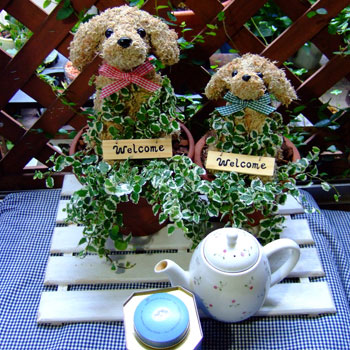 �i���̃g�s�A���[�j�x�r�[�T�C�Y�ƃ`���C���h�T�C�Y�̑傫���̈Ⴂ