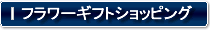 �t�����[�M�t�g�V���b�s���O