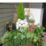�R�N��ɂ������̑O�ŎB���Ă����������ʐ^
