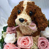 �L���o���A�̃v���U�[�u�h�t�����[�A�����W