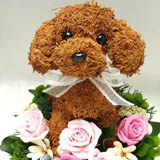 �g�C�v�[�h���e�f�B�x�A�^�C�v�̃��b�h�v���U�[�u�h�t�����[�A�����W