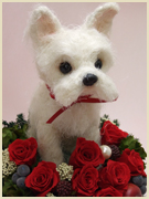 �z���C�g�e���A�̃W���[�g�h�[���g�s�A���[