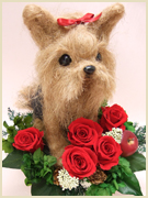 ���[�N�V���e���A�W���[�g�h�[���g�s�A���[