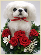 �y�L�j�[�Y�W���[�g�h�[���g�s�A���[