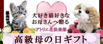 ���D���L�D���̕�̓��M�t�g