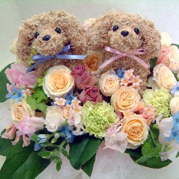 ���ǂ��Q�C�̓����g�s�A���[�t�����[�A�����W REGULAR