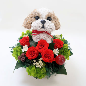 �V�[�Y�[�̃v���U�[�u�h�t�����[�A�����Wpretty