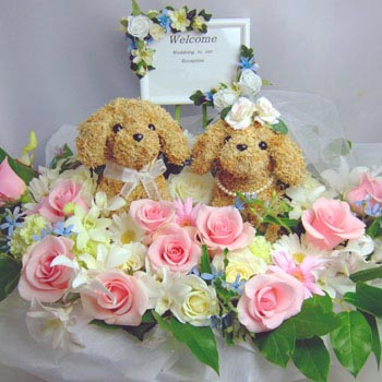 �E�F���J���h�b�O�`���C���h�t�����[�A�����W