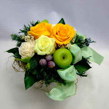 �ӂ�ӂ�R���|�[�g�v���U�[�u�h�t�����[�A�����W�l