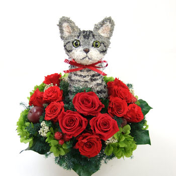 �A�����J���V���[�g�w�A�v���U�[�u�h�t�����[�A�����WBeauty