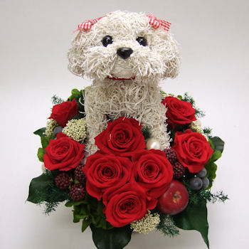 �}���`�[�Y�̃v���U�[�u�h�t�����[�A�����WCute