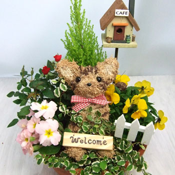 トラネコのトピアリー水苔トピアリー寄せ植え