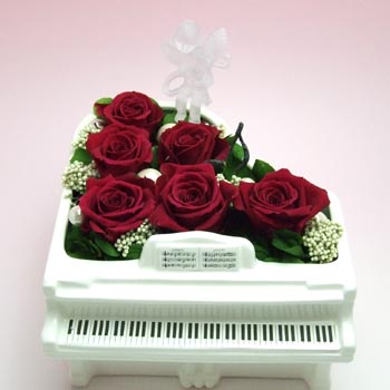 �s�A�m�̃v���U�[�u�h�t�����[�A�����WG