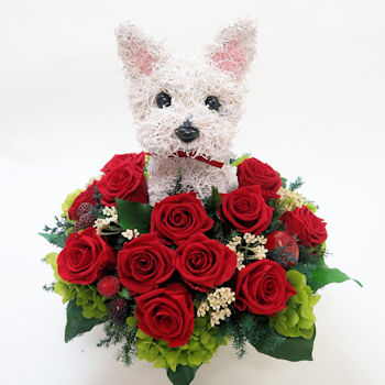 �E�F�X�g�E�n�C�����h�E�z���C�g�e���A�v���U�[�u�h�t�����[�A�����WBeauty