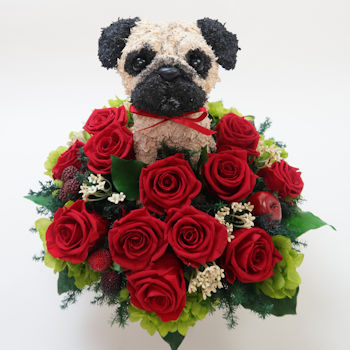 �p�O���̃v���U�[�u�h�t�����[�A�����W�a����������