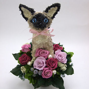�V�����l�R�̃v���U�[�u�h�t�����[�A�����Wcute