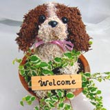 キャバリアの水苔動物トピアリー特注品