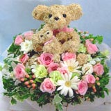 �g�s�A���[�t�����[�A�����W�u�}�}�ɕ������v