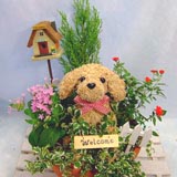チャイルドトピアリー寄せ植え(8号鉢)