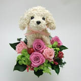 白い犬のプリザーブドフラワーアレンジpretty