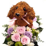 �_�b�N�X�v���U�[�u�h�t�����[�A�����Wbeauty