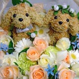 �E�F���J���h�b�O�x�r�[