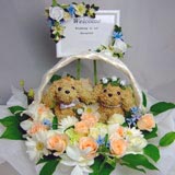 �E�F���J���h�b�O�x�r�[