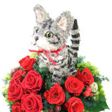 �A�����J���V���[�g�w�A�̃v���U�[�u�h�t�����[�A�����W