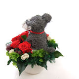 �V���i�E�U�[�̃v���U�[�u�h�t�����[�A�����W