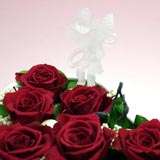 �s�A�m�̃v���U�[�u�h�t�����[�A�����WG