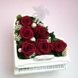 �s�A�m�̃v���U�[�u�h�t�����[�A�����WG