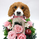 �r�[�O���̃v���U�[�u�h�t�����[�A�����Wpretty