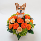 �Č��̃v���U�[�u�h�t�����[�A�����WBeauty
