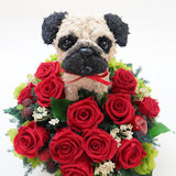 �p�O���̃v���U�[�u�h�t�����[�A�����W