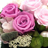 �v���U�[�u�h�t�����[�A�����W�s���N�L�����f�B