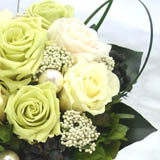 �v���U�[�u�h�t�����[Freshness�@GREEN""